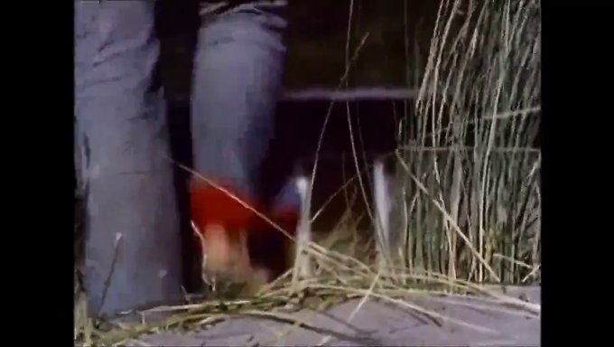 Erotisme Vintage: L'Incroyable Expérience De Léchage De Chatte De Georgina Spelvin