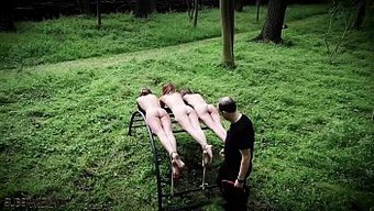 Punition D...