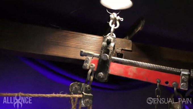 Soumise Européenne Dans Une Cage Réduite Au Silence Avec Un Gros Bâillon Boule