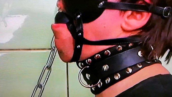 Les Couilles Attachées Et La Mini-Bite Créent Une Expérience Fétichiste Unique En Pile