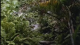 Vidéo Expl...