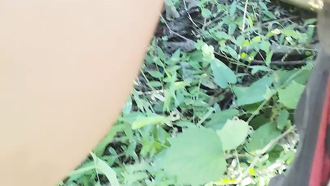 Une Indienne Se Fait Prendre Par Derrière Avec Une Grosse Bite Dans La Jungle