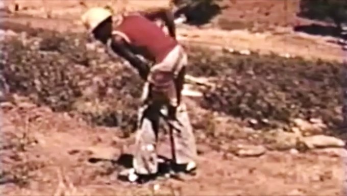 La Fin Explosive Du Roi Paul Dans Des Scènes Interraciales