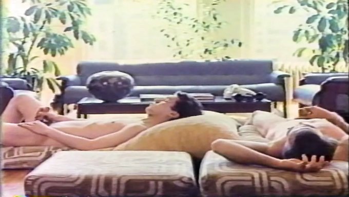 Les Stars Du Porno Classiques Brillent Dans Gold Standard 25