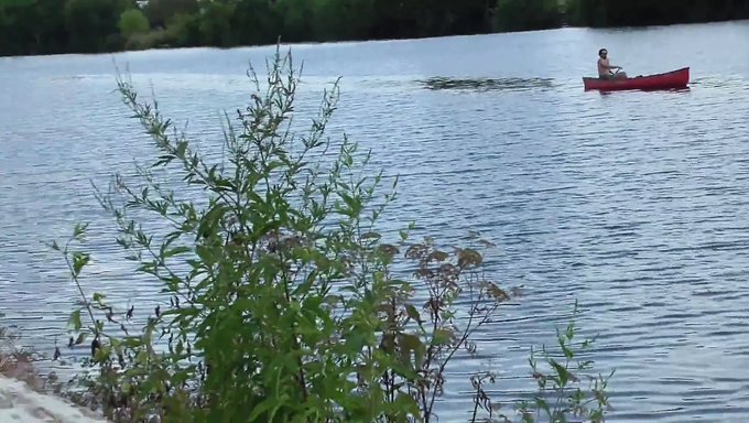 Une Fille Audacieuse Montre Ses Seins À L'Air Libre